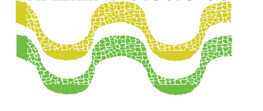Brazilian Music Colorado